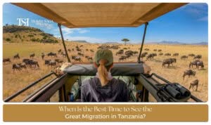 Best time to see the Great Migration in Tanzania with wildebeest herds crossing the Serengeti plains during peak safari season.