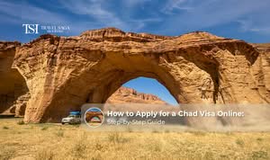 Traveller completing a Chad visa online application with passport and supporting documents