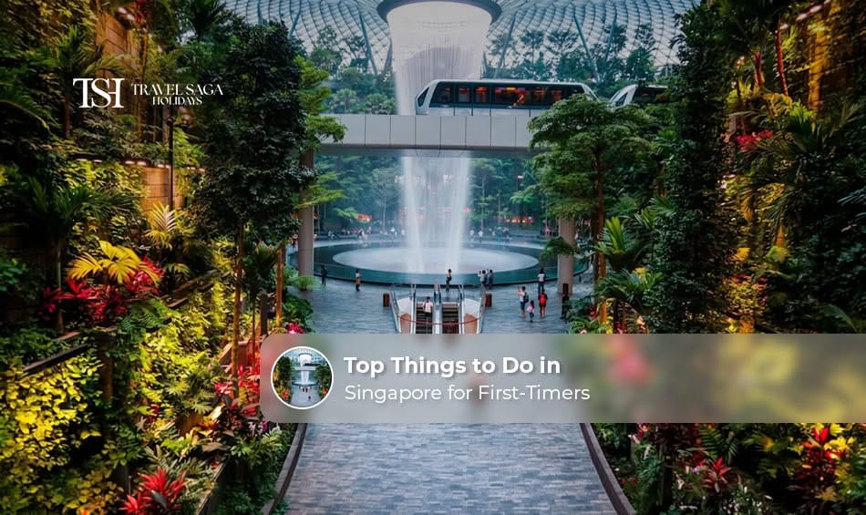 Explore the best things to do in Singapore, from iconic landmarks and gardens to cultural attractions and entertainment.